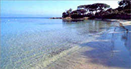 Ajaccio : Tourisme Ajaccio - Corse-du-Sud